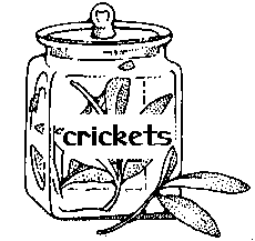 Jar of Crickets