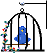 blue bird in hanging cage picture