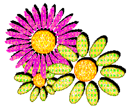 Charlotte's Flower Logo