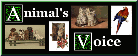Visit the Animal'sVoice HomePage and join the ring!
