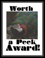 Worth a Peek Award