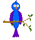 [Bird]