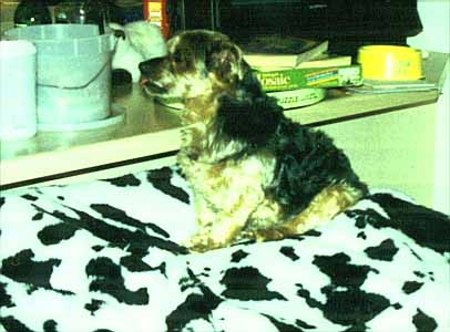 ZV on table