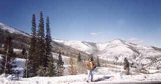 Wasatch Mountains