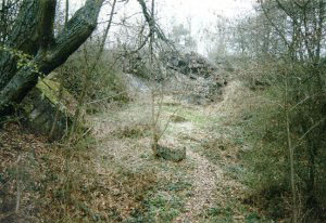 Remains of the F�hrerbunker of FHQu Felsennest