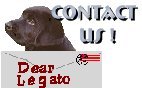 e-mail us here!