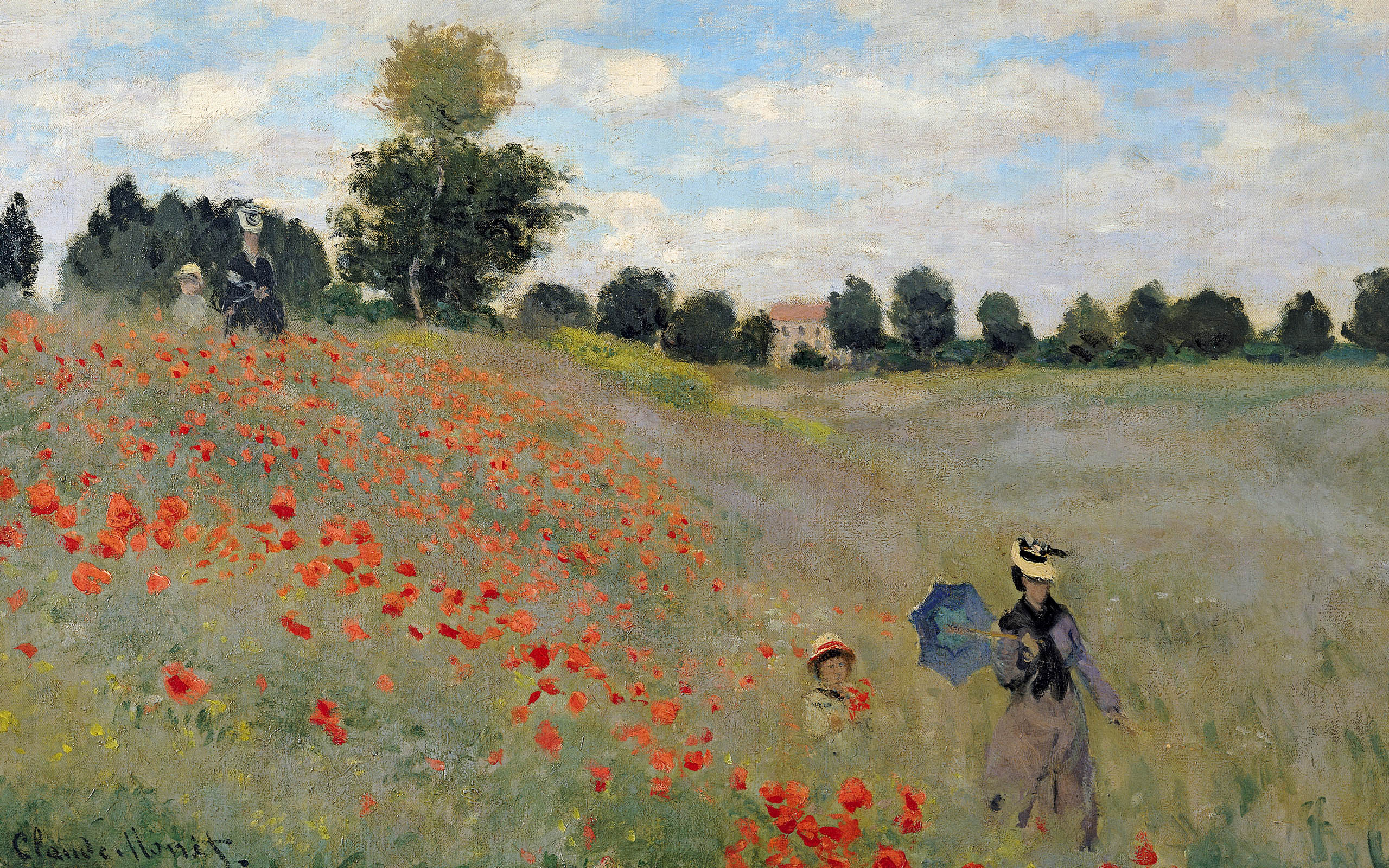 Poppies Blooming.jpg