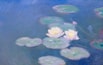 Water Lilies.jpg