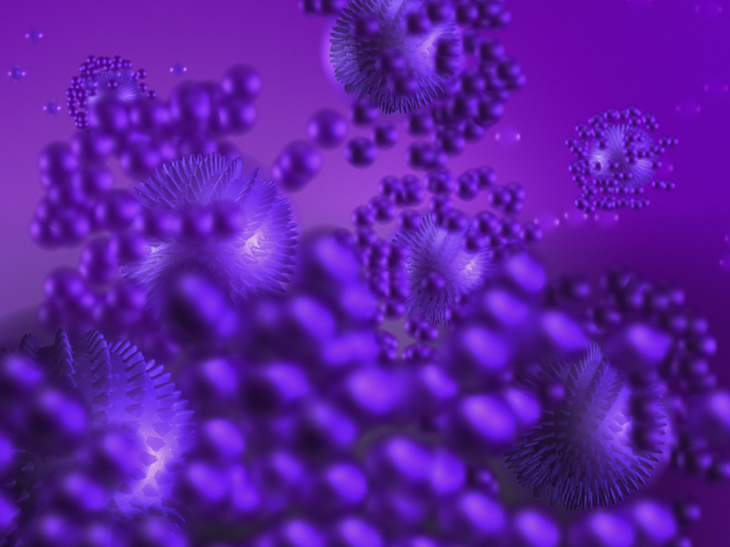 Loading Image