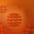 Tangerine Fusion-(16x10).png