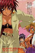 Saber Marionette J Novel Vol. 8