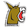 Heavy Woolen Donkeys
