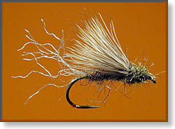 Guide's Flies Photo Page