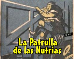 Imagen 6