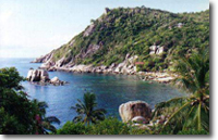 Tao-Island
