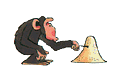 chimpanz