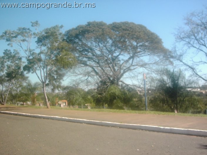 w.pantanal.br.ms-29.jpg