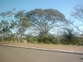 w.pantanal.br.ms-29
