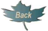backbutt04.gif (4888 bytes)