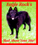 Eagle Rock Schipperkes