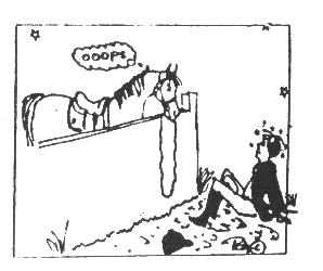 Never assume someone will ask 'How high?' when you say 'Jump'