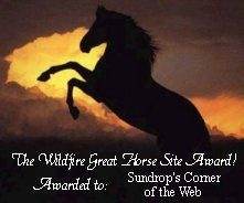 Wildfire Award