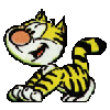 Frollicking cat