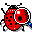 List of expanded directory