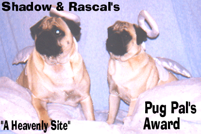 Pugland's Pug Pal's Award