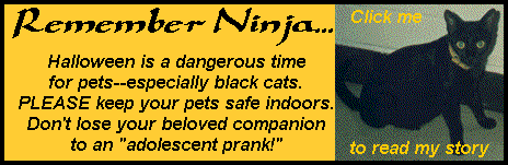 ninjabnr3.gif (14777 bytes)