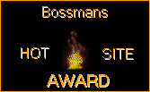 The Bossmans Hot Site Award