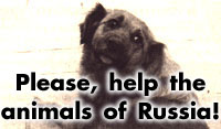 Organization for Animals, Russia