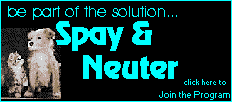 Spay & Neuter Program