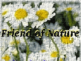 The Friends of Nature Award
