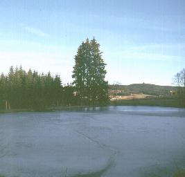 Brunnwald Teich