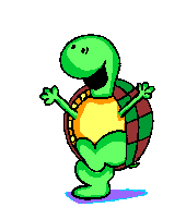 turtle love