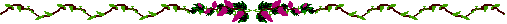 grape bar