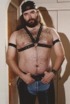 Songdog in harness and chaps