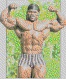 click here for the big pic!