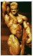 click here for the big pic!