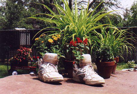 shoe planter