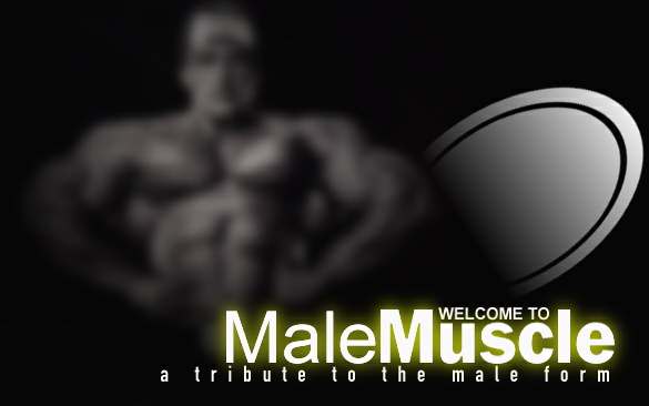 Enter Male Muscle