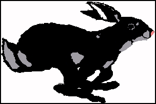 drawing of a black rabbit running