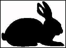 profile of a black rabbit sitting up