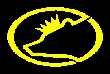 Bearidise logo