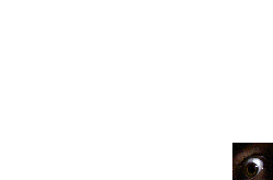 ojo2.gif (1775 bytes)