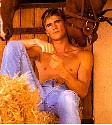 cowboy4.jpg