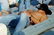 napin1.jpg