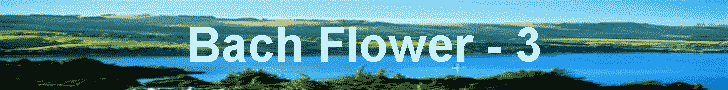 Bach Flower - 3