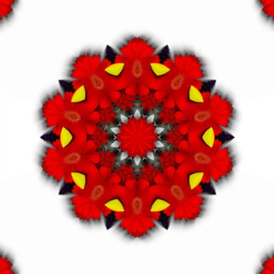 kalida8